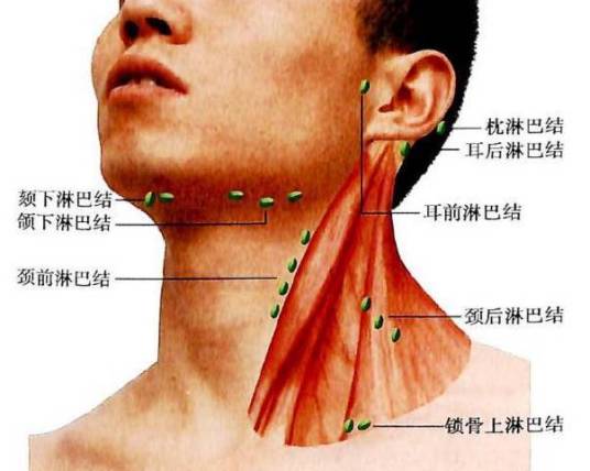 颌下淋巴结肿大压痛
