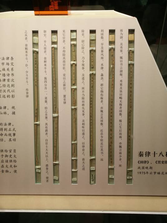 秦律十八种·田律