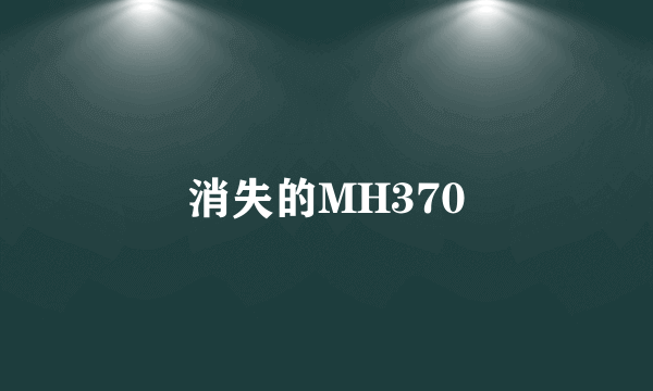 消失的MH370