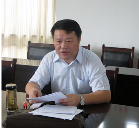 林冬生(安徽省合肥市庐江县委常委、副县长)