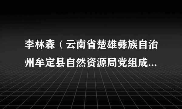 李林森(云南省楚雄彝族自治州牟定县自然资源局党组成员、副局长)