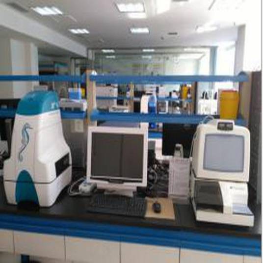 生物能量分析仪