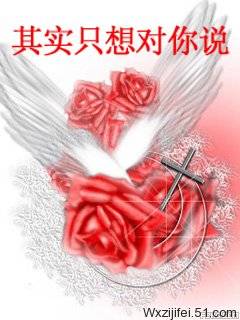 其实只想对你说