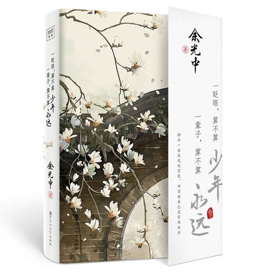 一眨眼，算不算少年一辈子，算不算永远