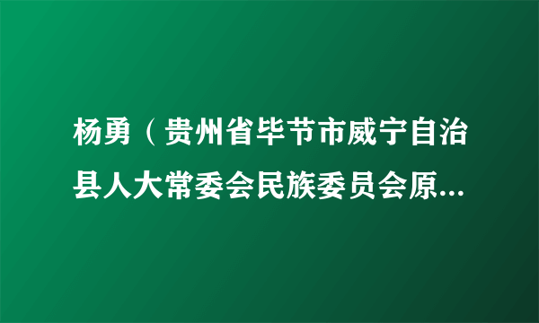 杨勇（贵州省毕节市威宁自治县人大常委会民族委员会原副主任）