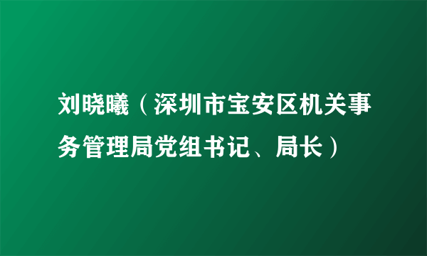 刘晓曦(深圳市宝安区机关事务管理局党组书记、局长)