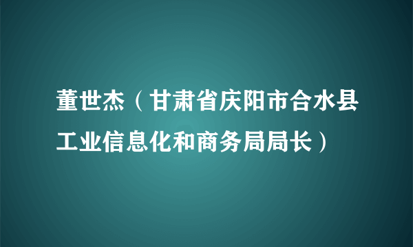 董世杰（甘肃省庆阳市合水县工业信息化和商务局局长）