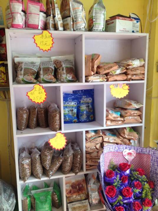 蚌埠宠物美容店