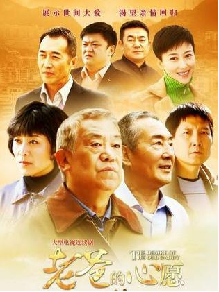 老爸的心愿(2012年曾晓欣执导的电视剧)