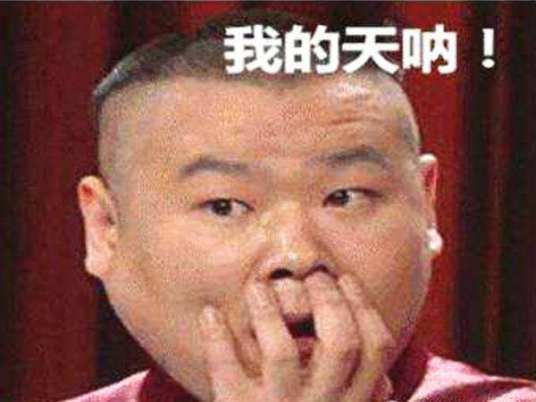 我的天呐（岳云鹏口头禅）