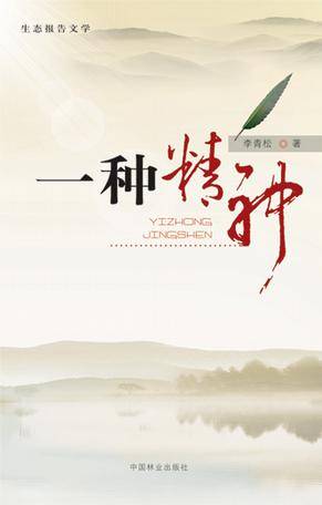 一种精神
