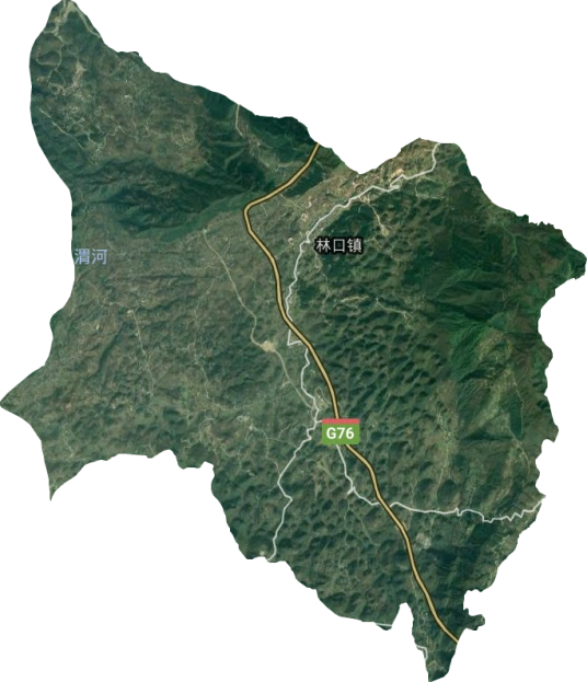 林口镇(贵州省毕节市七星关区下辖镇)