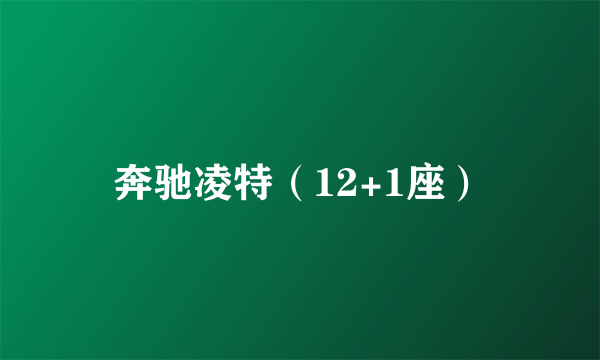 奔驰凌特（12+1座）