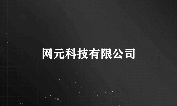网元科技有限公司
