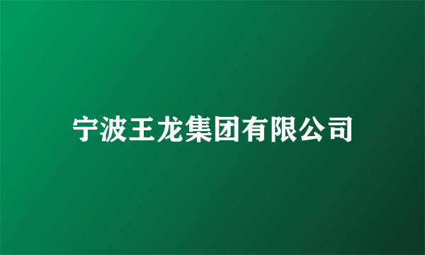 宁波王龙集团有限公司