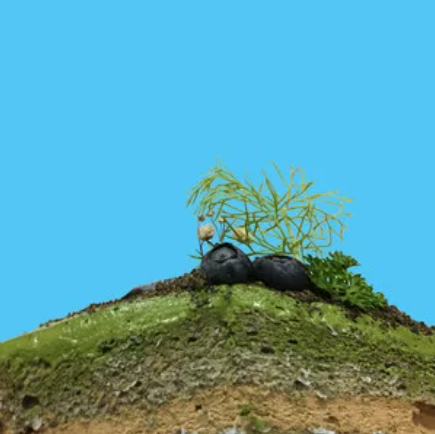 有鱼(Easy Shen Gang演唱歌曲)