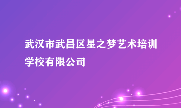 武汉市武昌区星之梦艺术培训学校有限公司