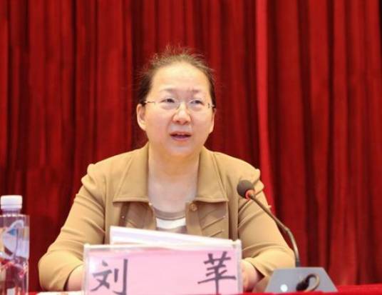 刘苹（安徽省人民代表大会社会建设委员会副主任委员）