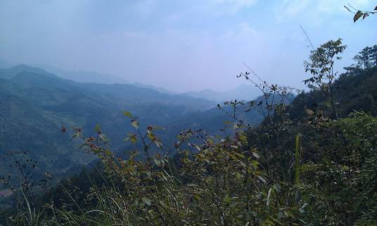 张榜镇（张榜镇七里村）