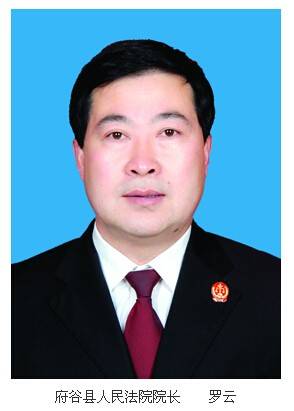 罗云(榆林府谷县人民法院院长)
