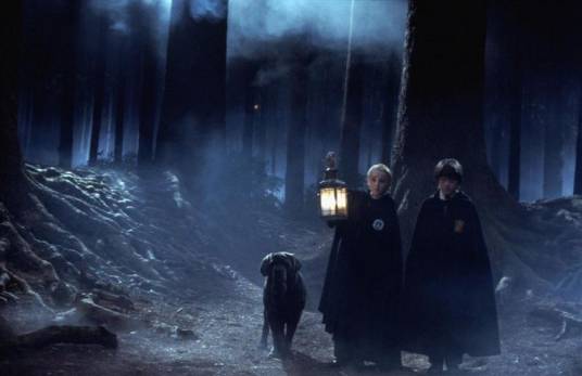 禁林（《哈利·波特》中黑暗森林）