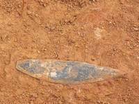 2005年全国十大考古发现