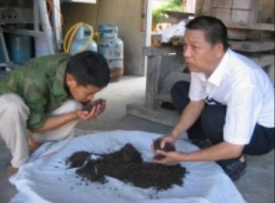 杨山虎(茶叶机械大鳄)