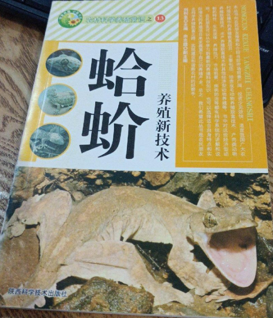 蛤蚧养殖新技术