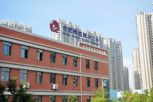合肥师范附小三小
