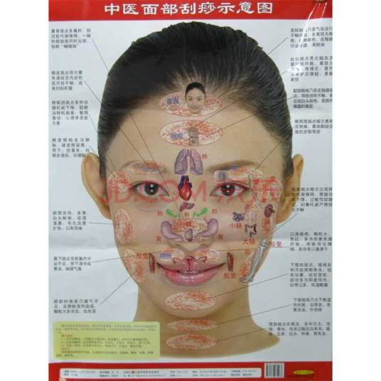 中医面部刮痧示意图