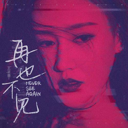 再也不见（王唯旖演唱歌曲）