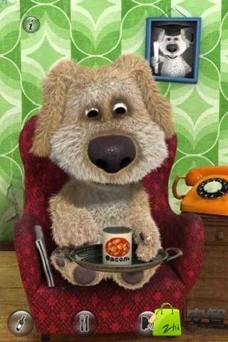 会说话的宠物狗