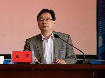 王锋(黄冈师范学院教授)