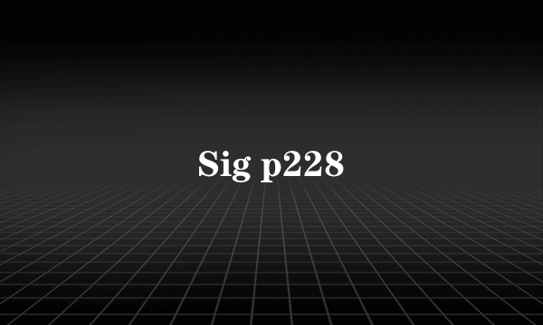 Sig p228