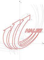 海南海力制药有限公司