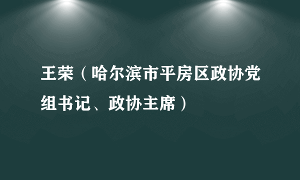 王荣（哈尔滨市平房区政协党组书记、政协主席）