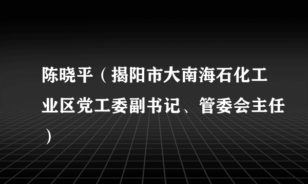 陈晓平(揭阳市大南海石化工业区党工委副书记、管委会主任)