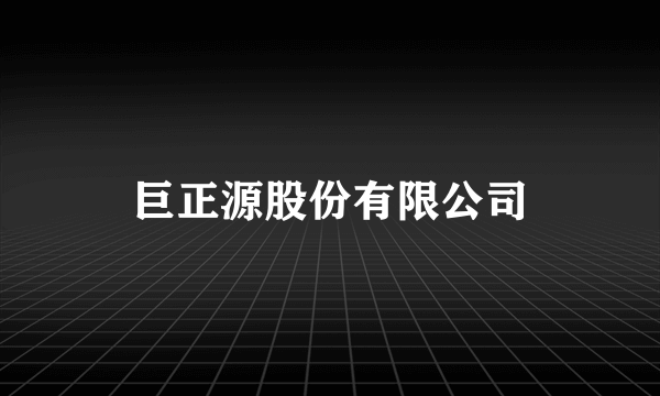 巨正源股份有限公司