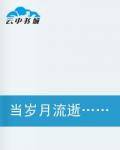 当岁月流逝