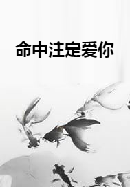 命中注定爱你