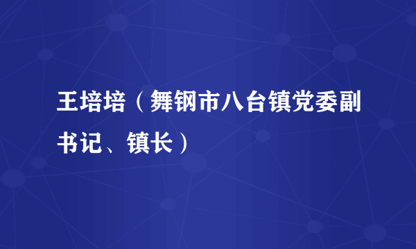 王培培（舞钢市八台镇党委副书记、镇长）