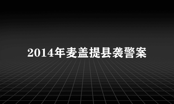 2014年麦盖提县袭警案