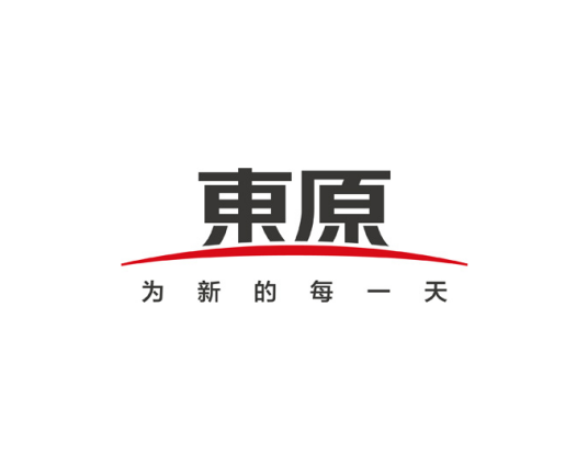 东原房地产开发集团有限公司