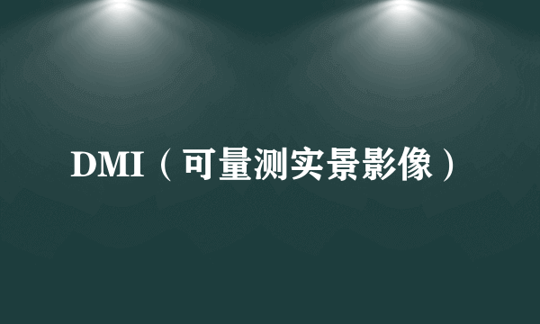 DMI（可量测实景影像）