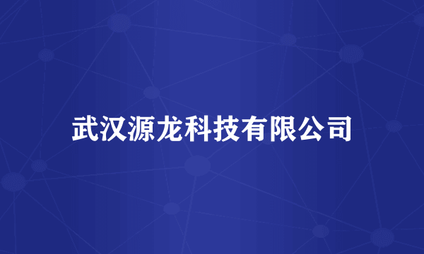 武汉源龙科技有限公司