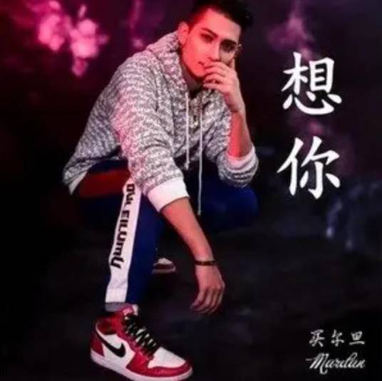 想你（买尔旦演唱歌曲）