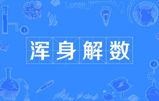 浑身解数