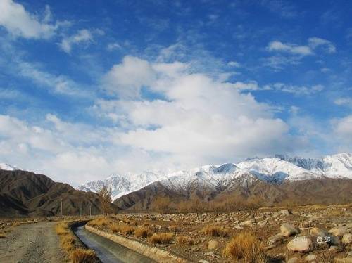 素珠链（祁连峰别称）