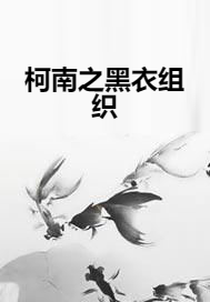 柯南之黑衣组织