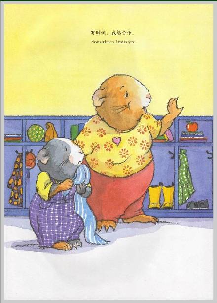 我想念你(2007年电子工业出版社出版的图书)